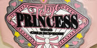 TJPW Princess Tag Team alt1.jpg