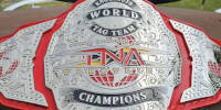 TNA Knockouts Tag Team 24.jpg