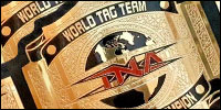 TNA World Tag Team.jpg