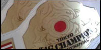 Tokyo Intercontinental Tag Team.jpg
