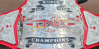 TNA World Tag Team 24.jpg