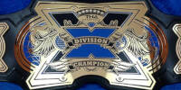 TNA X Division 13.jpg