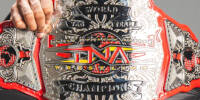 TNA World Tag Team 24 alt1.jpg