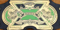 TNA X Division 15.jpg