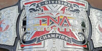 TNA X Division 24.jpg