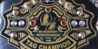 OZ Academy Tag Team.jpg