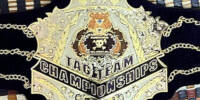 Pandemonium Tag Team.jpg