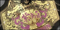Pro Wrestling SHI EN.jpg