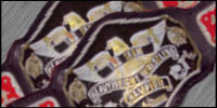 PWG World Tag Team2.jpg