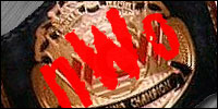 WCW Women's Cruiser nWo Red.jpg