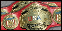 WCW US Tag Team 2.jpg