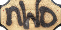 WCW World Heavy nWo 94.jpg