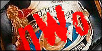 WCW Women's nWo Red.jpg