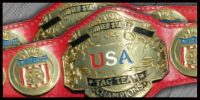 WCW US Tag Team.jpg