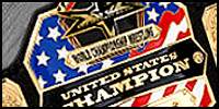 WCW US custom.jpg