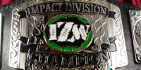 IZW Impact Division.jpg