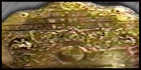 JAPW Tag.jpg