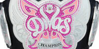 WWE Divas 08.jpg