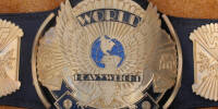 WWF Heavy 88.jpg