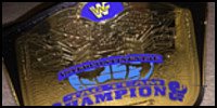 WWF IC Tag.jpg
