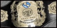 UWFi Real Pro Wrestling World Heavyweight.jpg