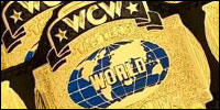 WCW World Tag Team2.jpg