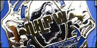 NHPW Art of Fighting.jpg
