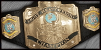 WWE LHW.jpg