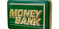 WWE Men's Money in the Bank.jpg