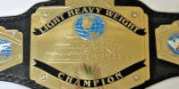 WWF Light Heavy 01.jpg