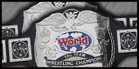 WWF Tag 86.jpg