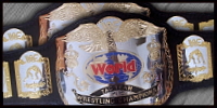 WWF Tag 88.jpg