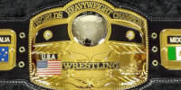 NWA World Heavy 73 alt2.jpg
