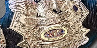NWA World Historic Welter.jpg