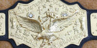 NWA World Tag Team 19.jpg
