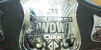 WDW Tag Team alt1.jpg