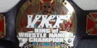 VKF King of Wrestle Naniwa.jpg