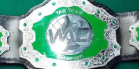 WAC Tag Team.jpg