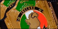 NWA Ireland Tag Team.jpg