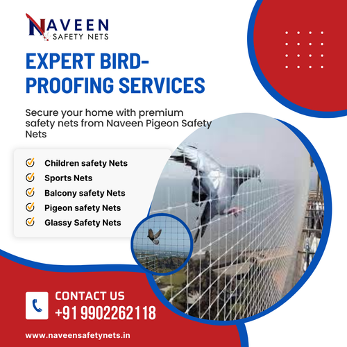 Looking for reliable pigeon net installation in Yelahanka?.png