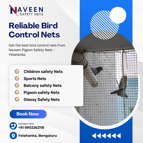 Looking for reliable pigeon net installation in Yelahanka?.png