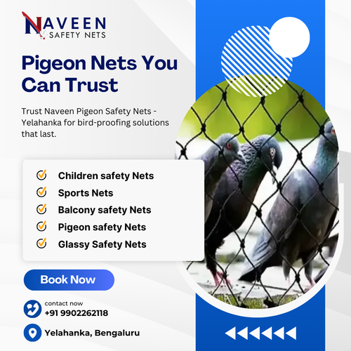 Looking for reliable pigeon net installation in Yelahanka?.png