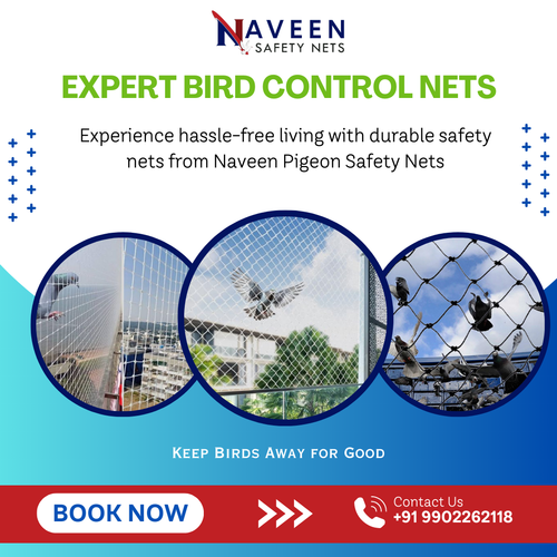 Looking for trusted pigeon net installation in Yelahanka?.png