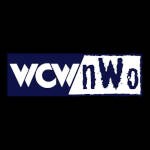 WCW nWo Blue White.jpg