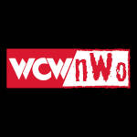 WCW nWo Red White.jpg