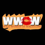 Wild Women of Wrestling.jpg