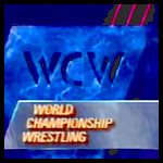 WCW 91.jpg
