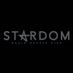 World Wonder Ring Stardom 21 alt2.jpg