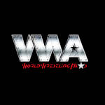 World Wrestling All Stars.jpg