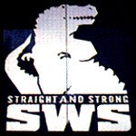 SWS2.jpg